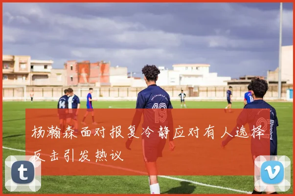 杨瀚森面对报复冷静应对有人选择反击引发热议