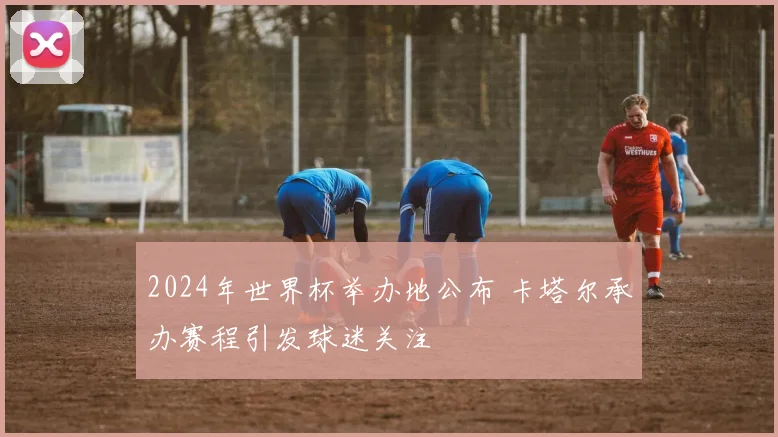 2024年世界杯举办地公布 卡塔尔承办赛程引发球迷关注