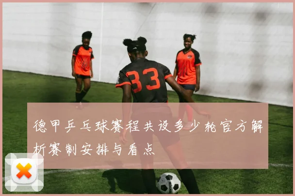 德甲乒乓球赛程共设多少轮官方解析赛制安排与看点