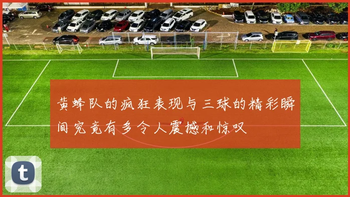 黄蜂队的疯狂表现与三球的精彩瞬间究竟有多令人震撼和惊叹